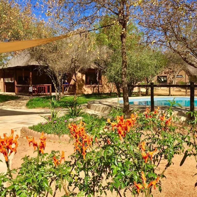 Golden Impalas Bush Resort Hammanskraal Ngoại thất bức ảnh